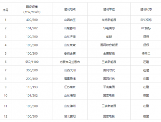 大型储能电站纷纷落地，储能发展进入快车道