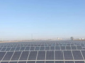 光伏界的传奇：隆基、晶澳、天合又双叕创新高！