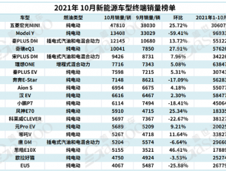 2021年10月中国新能源汽车终端销量榜单TOP100