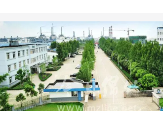 川发龙蟒跨界布局新能源 欲建设年产10万吨前驱体磷酸铁项目