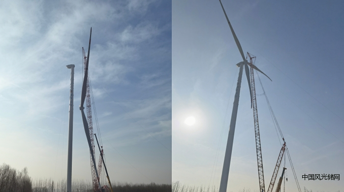 360截图16251116469483