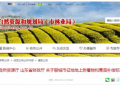 山东省聊城征地补偿标准出炉！光伏发电补偿3-4元/瓦！