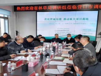 辽宁省市县三级林草部门主动靠前服务，加速风电项目落地