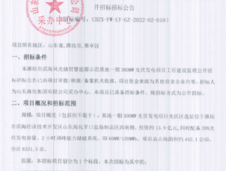 山潍坊滨海风光储智慧能源示范项目工程监理招标