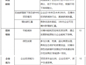 新疆博州250MW保障性并网新能源项目竞配招标