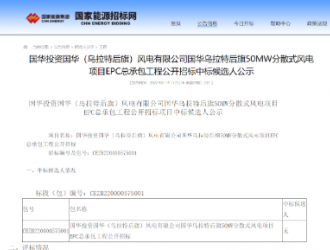 国华投资50MW分散式风电项目流标！