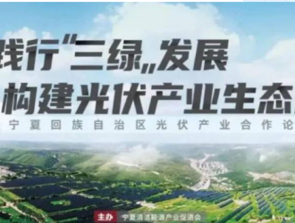 隆基股份助力宁夏构建光伏产业生态圈