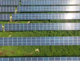 浙江台州首个110千伏山地“农光互补”光伏发电项目落地仙居