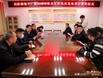 总投资4亿元！咸安区向阳湖镇签约中广核光伏发电项目