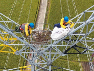 江苏构建“生态+电力”电网建设发展模式