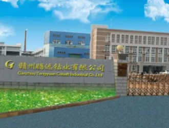 腾远钴业：不担心钴在新能源汽车领域的发展会受到限制