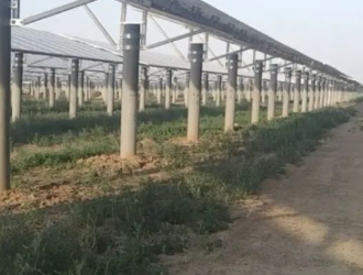 石家庄通报因建光伏电站毁麦事件：已停工 项目负责人被刑拘