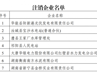 华能岳阳新港光伏发电有限责任公司电力业务资质许可证注销