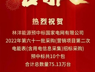 喜报！林洋能源预中标3.27亿元国家电网项目！