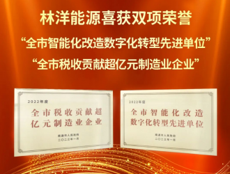 南通制造业发展大会顺利召开，林洋能源喜获双项荣誉
